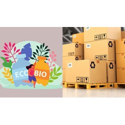 Mẫu đơn đề nghị cấp Giấy phép vận chuyển thuốc bảo vệ thực vật