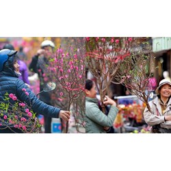 Doanh nghiệp phải thông báo phương án nghỉ tết Âm lịch trước ít nhất 30 ngày