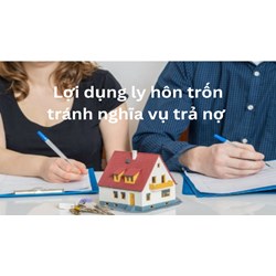 Lợi dụng việc ly hôn trốn tránh nghĩa vụ trả nợ bị xử phạt thế nào?