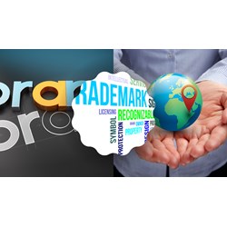 Differences between trademarks, trade names, geographical indications