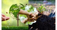 Thuyết trình về trách nhiệm bảo vệ môi trường của công dân siêu hay