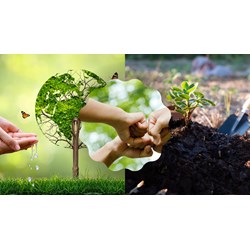Thuyết trình về trách nhiệm bảo vệ môi trường của công dân siêu hay
