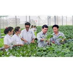 Mức lương Bảo vệ viên bảo vệ thực vật hạng 3 có trình độ tiến sĩ?