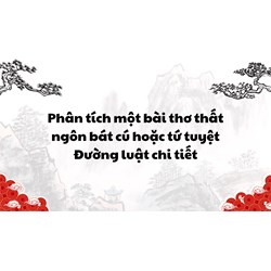 Phân tích một bài thơ thất ngôn bát cú hoặc tứ tuyệt Đường luật chi tiết