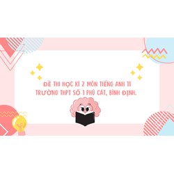 Đề thi học kì 2 môn Tiếng Anh 11 trường THPT Số 1 Phù Cát, Bình Định