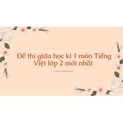 Đề thi giữa học kì 1 môn Tiếng Việt lớp 2 mới nhất