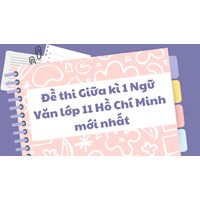 Đề thi Giữa kì 1 Ngữ Văn lớp 11 Hồ Chí Minh có đáp án mới nhất