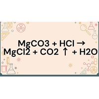 Phương trình hoá học MgCO3 + HCl → MgCl2 + CO2 ↑ + H2O