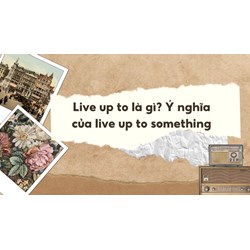 Live up to là gì? Ý nghĩa của live up to something trong tiếng Anh
