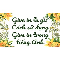 Give in là gì? Cách sử dụng Give in trong Tiếng Anh