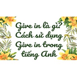 Give in là gì? Cách sử dụng Give in trong Tiếng Anh