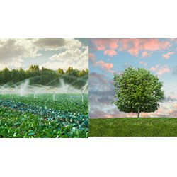 Quản lý và xác định chi phí dịch vụ phát triển hệ thống cây xanh đô thị
