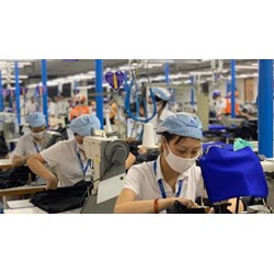 Có bắt buộc lập sổ quản lý lao động hay không? Sổ quản lý lao động lập khi nào?