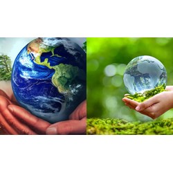 Trách nhiệm của hộ gia đình, cá nhân về vấn đề bảo vệ môi trường?