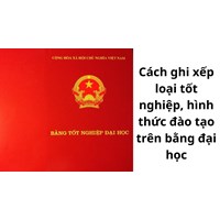 Cách ghi xếp loại tốt nghiệp, hình thức đào tạo trên bằng đại học