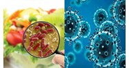 Phát hiện nguy cơ gây bệnh truyền qua thực phẩm cần khai báo ở đâu?