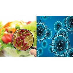 Phát hiện nguy cơ gây bệnh truyền qua thực phẩm cần khai báo ở đâu?