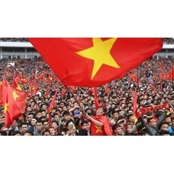 HLV trưởng Đội tuyển Quốc gia Việt Nam hưởng lương theo ngày thực tế thi đấu bao nhiêu?