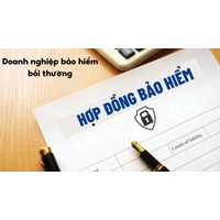 Người được bảo hiểm chết do hành vi của bên thứ ba, doanh nghiệp bảo hiểm có bồi thường không?