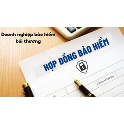 Người được bảo hiểm chết do hành vi của bên thứ ba, doanh nghiệp bảo hiểm có bồi thường không?
