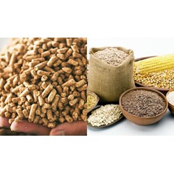 Tại Việt Nam, những loại thức ăn chăn nuôi nào được phép lưu hành?
