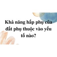 Khả năng hấp phụ của đất phụ thuộc vào các yếu tố nào?