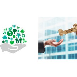 Doanh nghiệp xã hội có được mở chi nhánh theo quy định hay không?