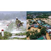 Thông tin bản tin cảnh báo thiên tai có được chuyển tải bằng tiếng nước ngoài không?