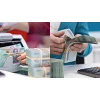 Cơ cấu tiền lương của công chức kiểm lâm sau cải cách tiền lương