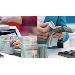 Cơ cấu tiền lương của công chức kiểm lâm sau cải cách tiền lương