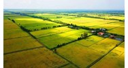 Theo quy định thì đất cấp trước năm 1993 có phải mất thuế không?