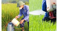 Danh mục thuốc bảo vệ thực vật cấm sử dụng tại Việt Nam mới nhất