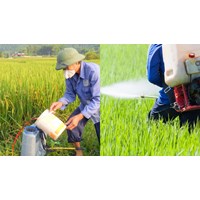 Danh mục thuốc bảo vệ thực vật cấm sử dụng tại Việt Nam mới nhất