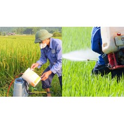 Danh mục thuốc bảo vệ thực vật cấm sử dụng tại Việt Nam mới nhất