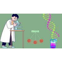 Quyền hạn của Hội Sinh lý học Việt Nam hiện nay