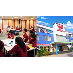 Nguyên tắc thực hiện nhiệm vụ của Ban Chấp hành Hội Việt Mỹ là gì?
