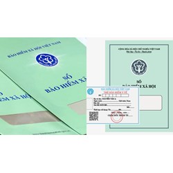 Tổng hợp mức phạt vi phạm về BHXH bắt buộc, BHYT, BHTN thường gặp