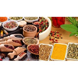 Hành vi dùng phụ gia thực phẩm nhiễm kim loại nặng quá mức cho phép