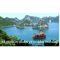 Hiện trạng khu vực di sản thế giới có nằm trong kế hoạch quản lý?