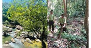 Trách nhiệm thực hiện quan trắc đa dạng sinh học tại khu bảo tồn thiên nhiên