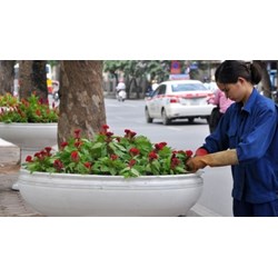 Căn cứ xác định chi phí tiền lương thuộc giá dịch vụ công ích
