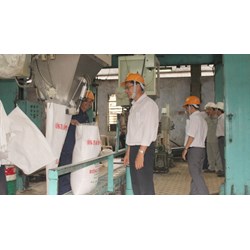 Các chi phí đảm bảo an toàn vệ sinh lao động trong thi công