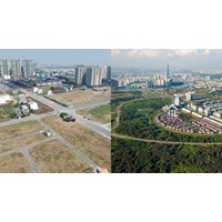 Các quy định của pháp luật về đất TMD mới nhất