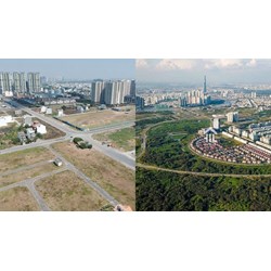 Các quy định của pháp luật về đất TMD mới nhất