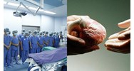Có được hỗ trợ tiền ăn khi khám sức khỏe với người hiến tạng bộ phận cơ thể không?