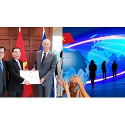 Công việc của chuyên viên chính về hợp tác quốc tế trong đơn vị sự nghiệp công lập?