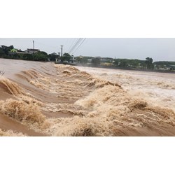 Ban hành bản tin dự báo Tin lũ khẩn cấp khi mực nước sông đạt mức độ nào?