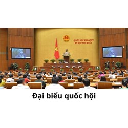 Đại biểu Quốc hội bị khởi tố có đương nhiên mất quyền đại biểu không?