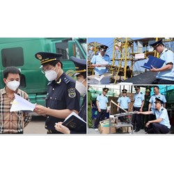 Mức xử phạt 13 hành vi trốn thuế trong lĩnh vực hải quan