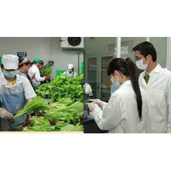 Giám định tư pháp trong lĩnh vực công thương có thực hiện trong lĩnh vực an toàn thực phẩm?